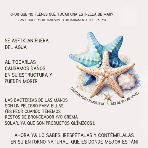 Foto extra 6