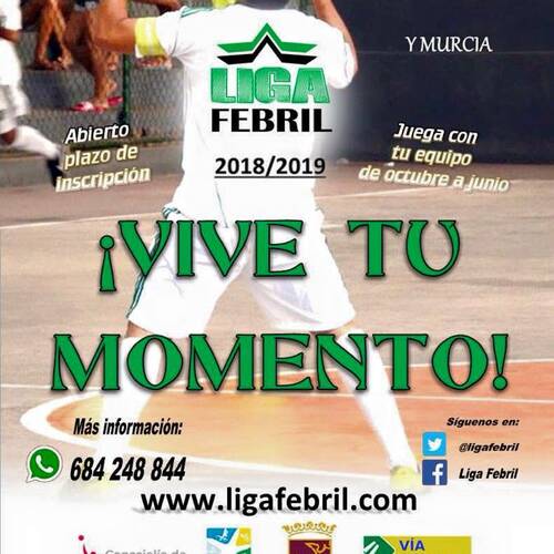 LIGA FEBRIL