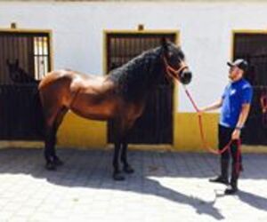 Jorge Trelis G
