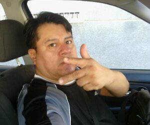 wilow