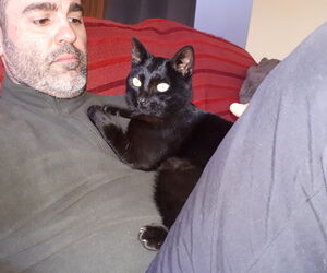 Matias