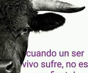 Manuel