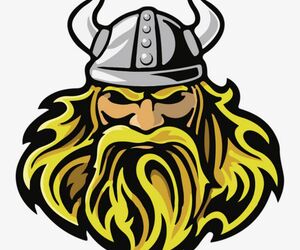 VikingoTyP13