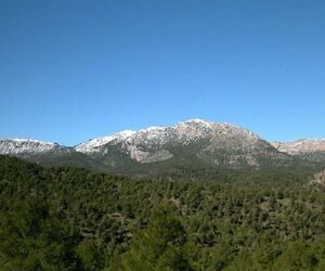 Encarni