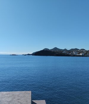 Rocío