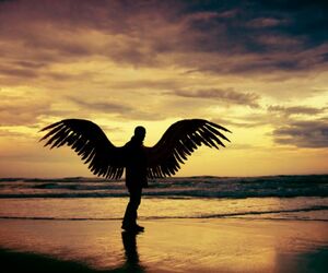 Fenix