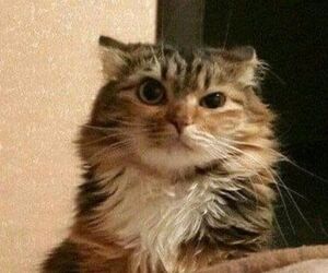 Francisco