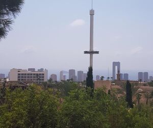 paqui