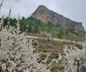 M.Carmen