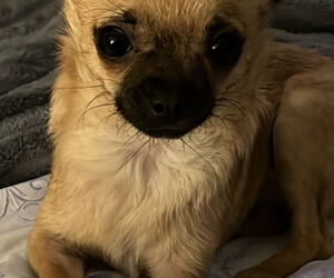 Eli