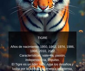 SerJor
