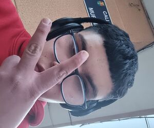 Davidgogu