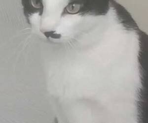 Marcos