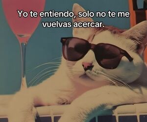 Angy