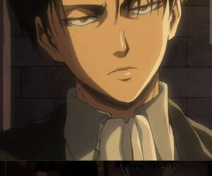 Levi