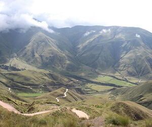 Carlos Urbano 