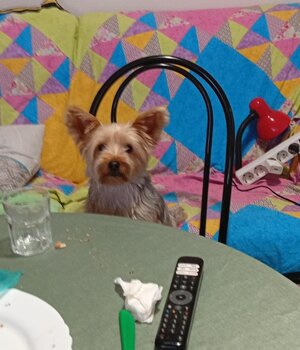 Martin