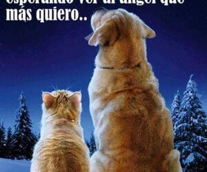 Jose