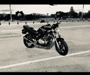 Josxur      