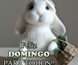 Gagaga