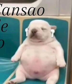 Andrés