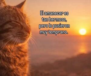 Chema