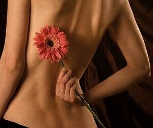 Lorena