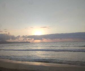 Solete