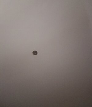 Comandante