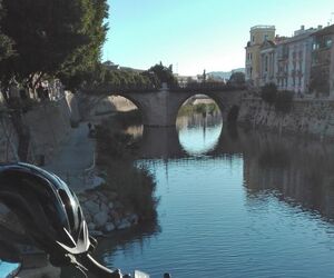 Gonvia