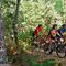 Ruta en bici por la huerta de Murcia