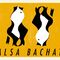 Bailar salsa y bachata grupo