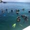 Bautismos de buceo