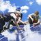 Interesados en curso de instalación de placas solares