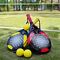 Jugar al Padel   Una vez a la Semana hay que coordinar el dí­a. Nivel Básico.