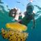 Naturaleza, amigos, grupos de snorkel 