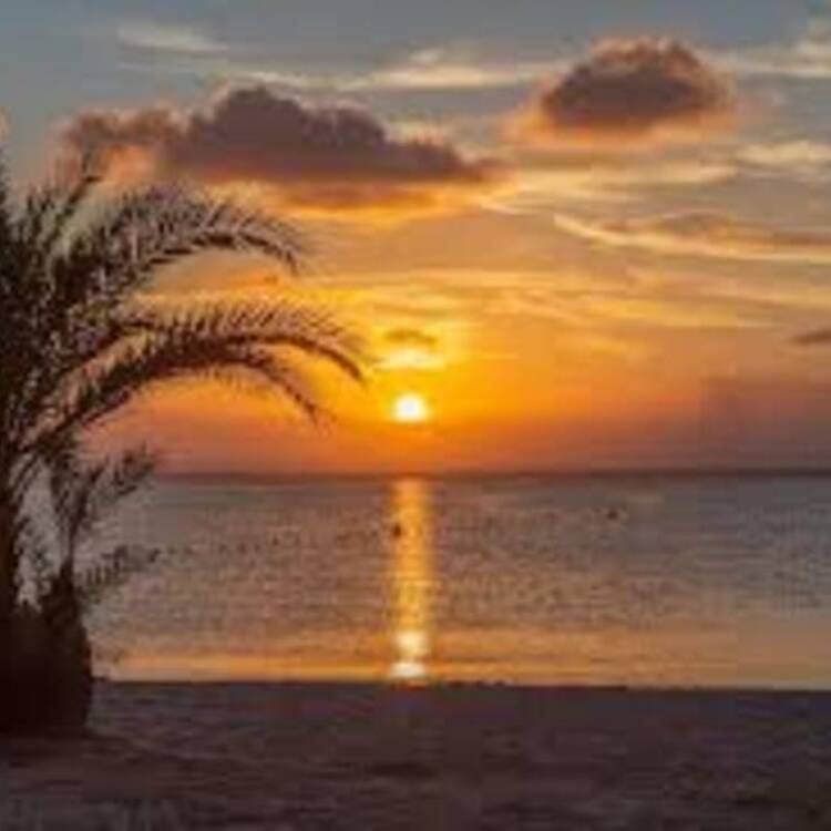 Foto de perfil de Alma