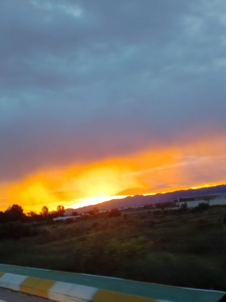 Foto de perfil de Pilar