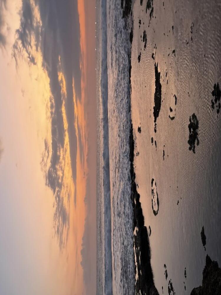 Foto de perfil de Iria