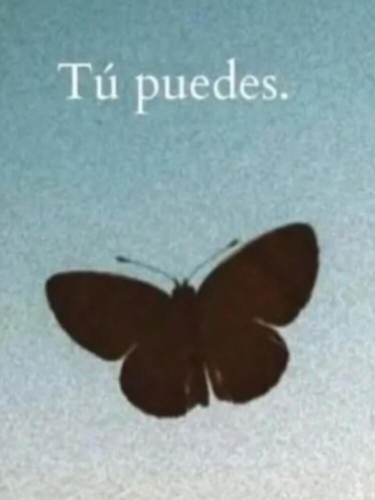 Foto de perfil de María