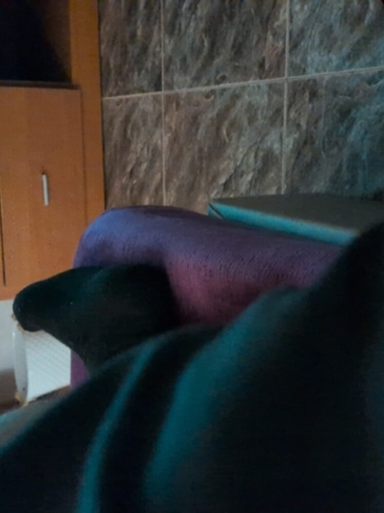 Foto de perfil de Manu