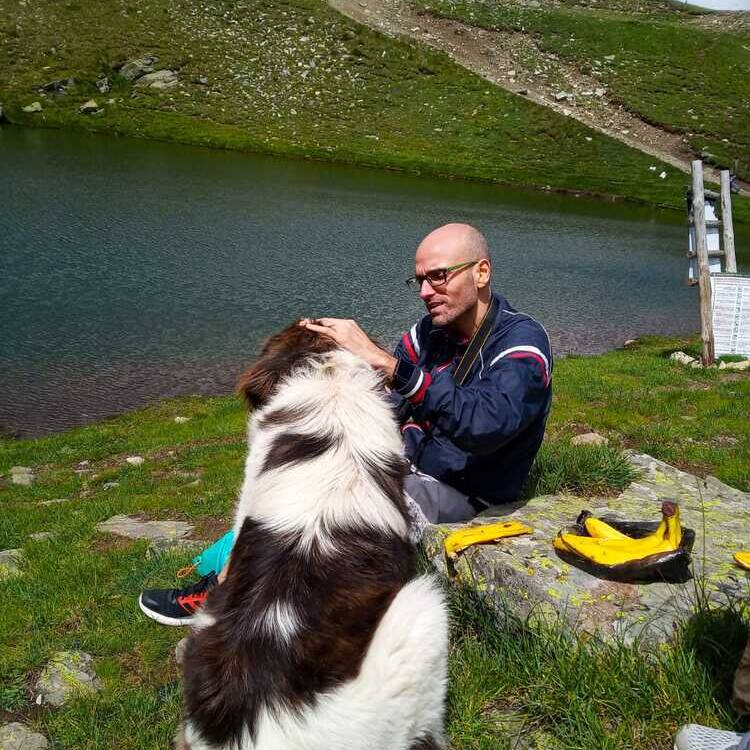 Foto de perfil de pedrolo