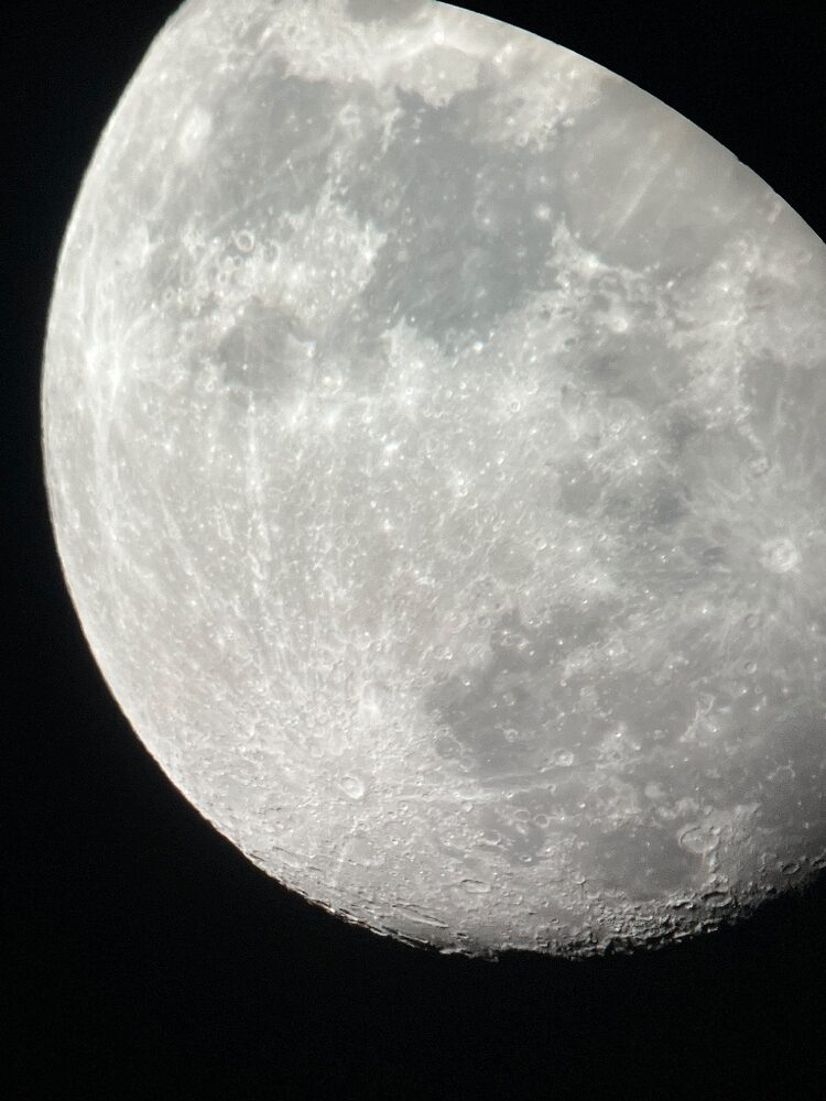 Foto de perfil de Gema