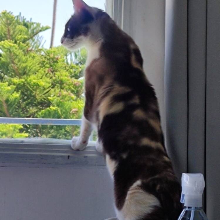 Foto de perfil de Jose