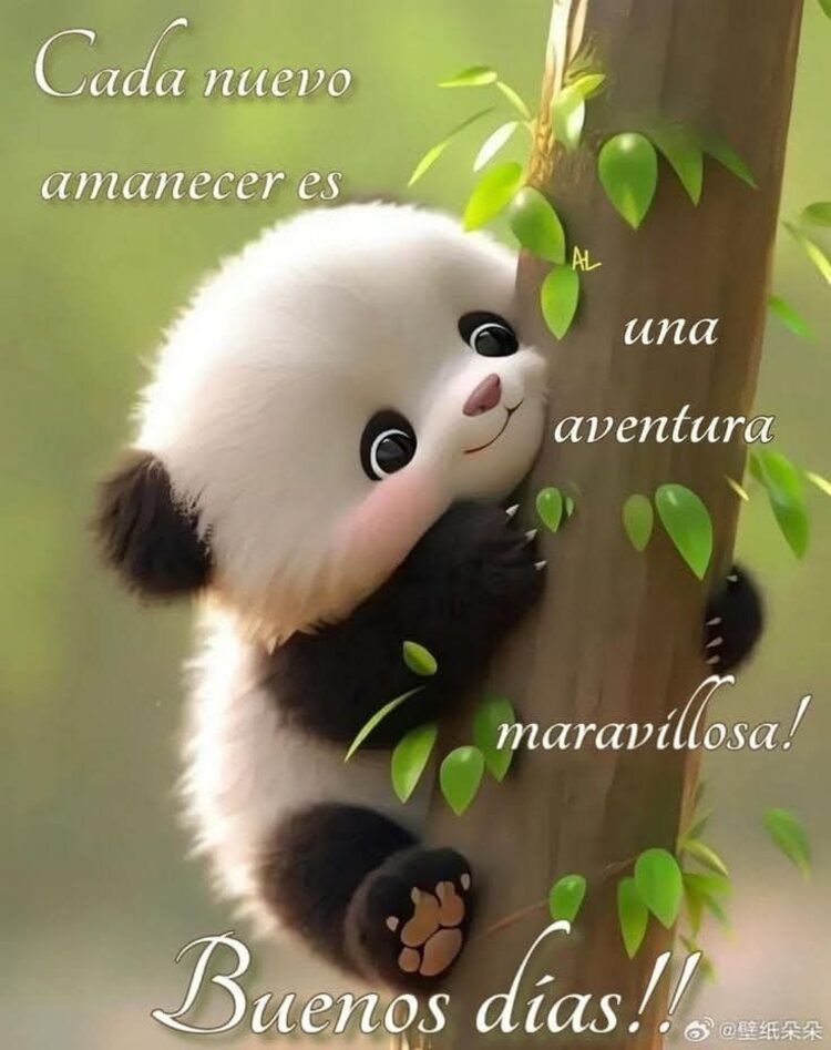 Foto de perfil de Jose