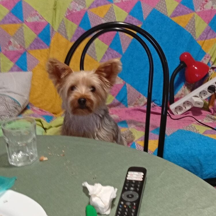 Foto de perfil de Martin