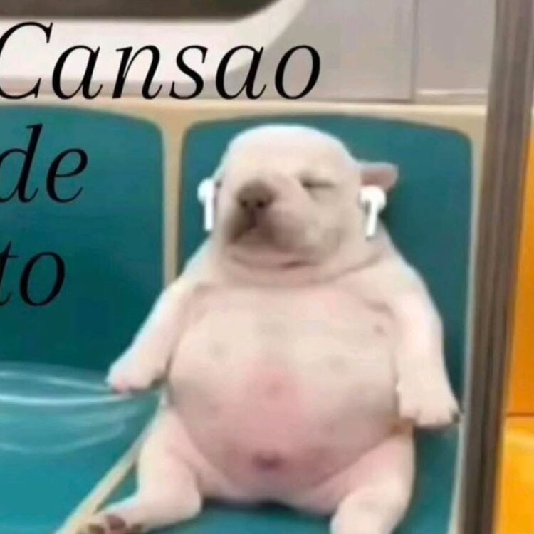 Foto de perfil de Andrés