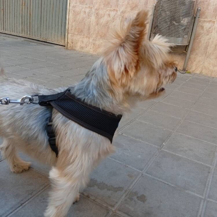 Foto de perfil de Noelia