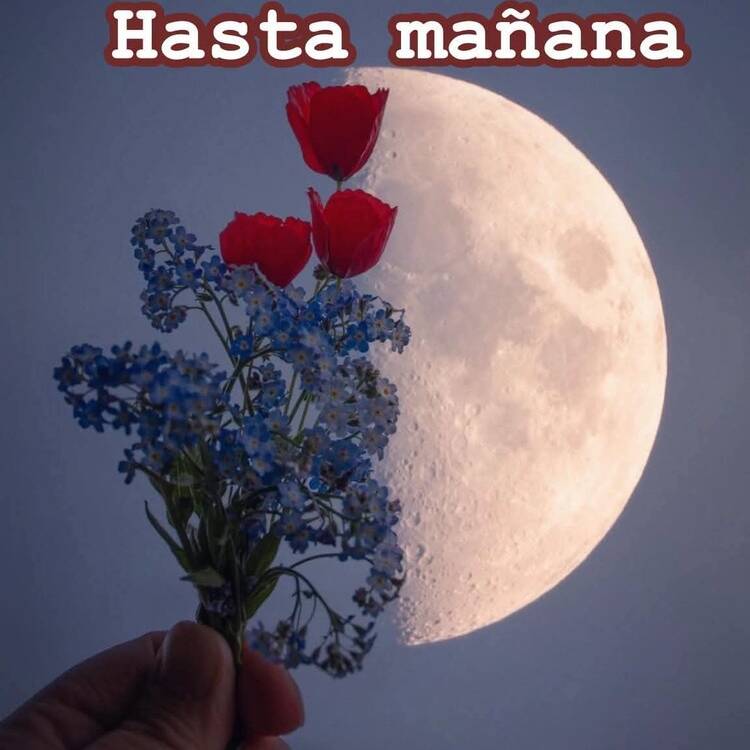 Foto de perfil de María